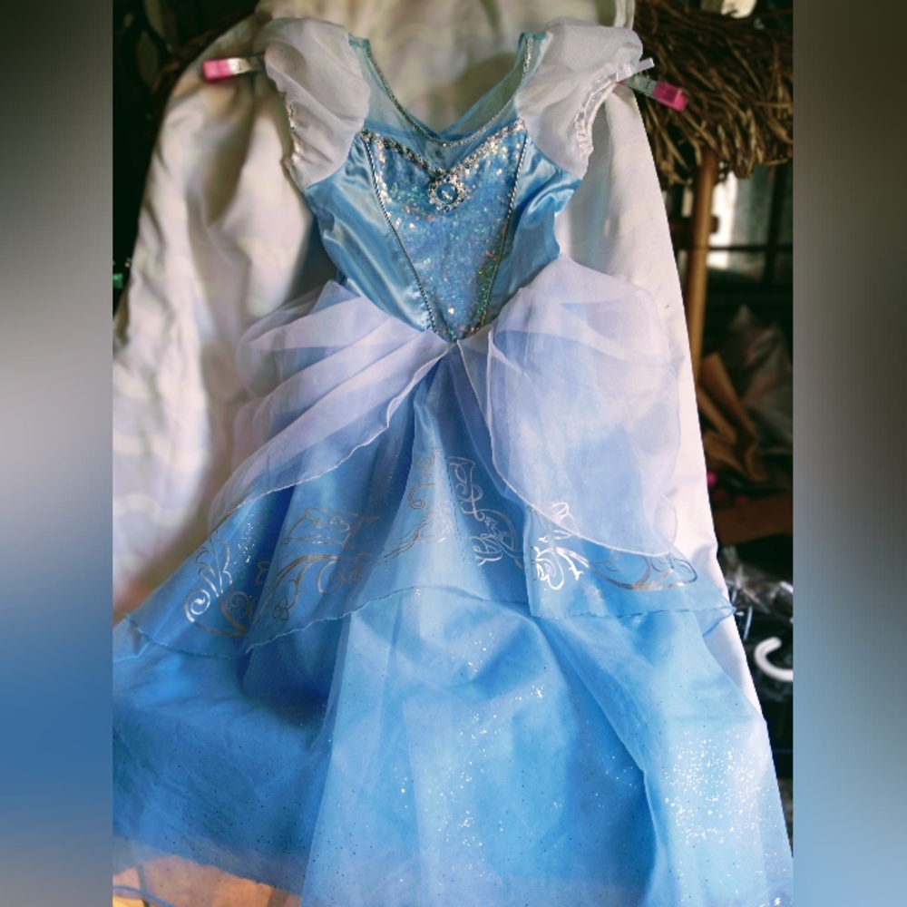 Disney Girls Sz 13 Enchanting Blue Princess Costume Dress